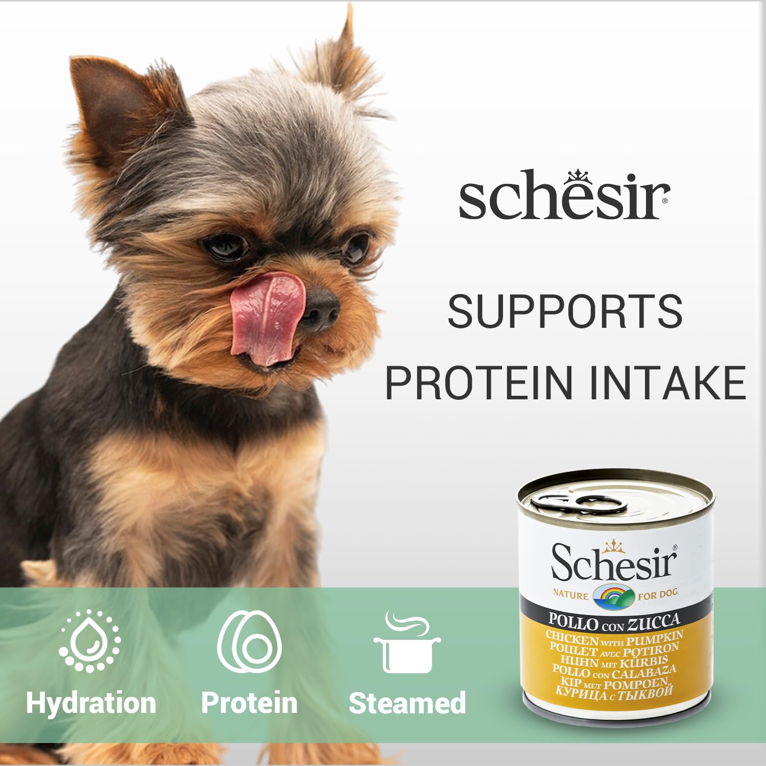 Schesir Nature For Dog Chicken with Pumpkin in Jelly Wet Dog Food 285g