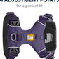 Ruffwear Front Range Dog Padded Harness - Purple Sage