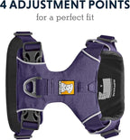 Ruffwear Front Range Dog Padded Harness - Purple Sage