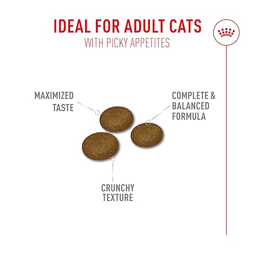 Royal Canin Fussy Exigent Cat Dry Food 2kg