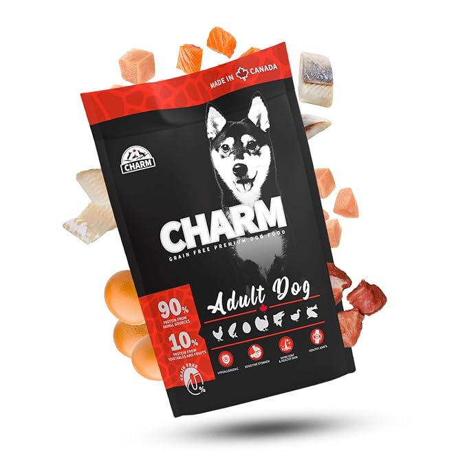 Charm Adult Dog Grain Free Premium Dry Dog Food 340g