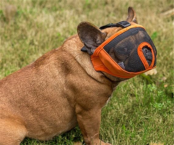 Tails Nation Snout Muzzle For Dog