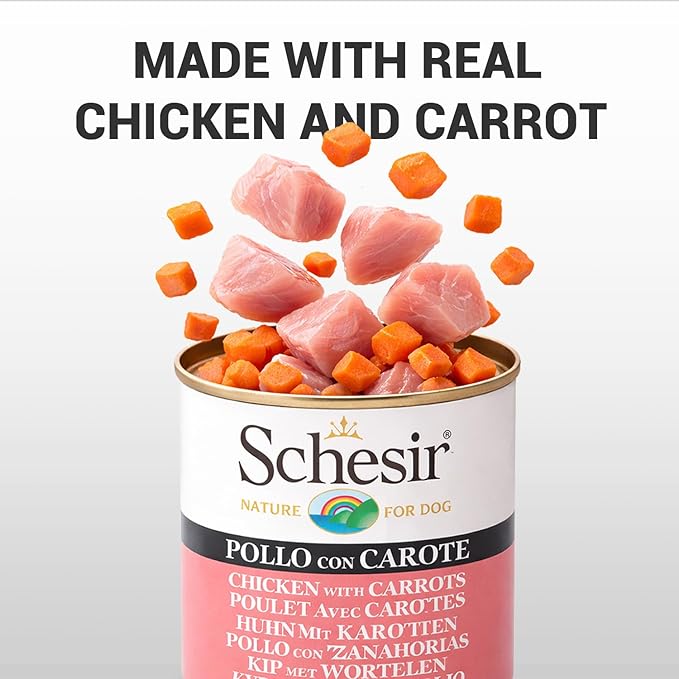 Schesir Nature For Dog Chicken & Rice with Carrot in jelly 285g