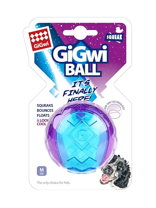 Gigwi Ball Squeaker Dog Toy Blue Large