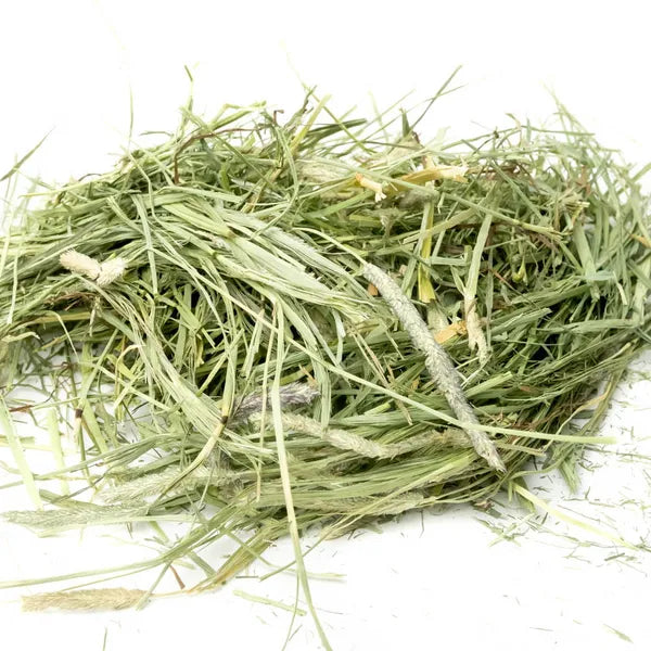 Science Selective Timothy Hay for Rabbits and Guinea Pigs 2kg