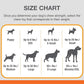 Nylabone Silver Collection Flexi Chew X-Bone Turkey & Sweet Potato Flavor Up to 11kg Dogs 9cm x 2cm x 3cm