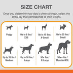 Nylabone Silver Collection Flexi Chew X-Bone Turkey & Sweet Potato Flavor Up to 11kg Dogs 9cm x 2cm x 3cm