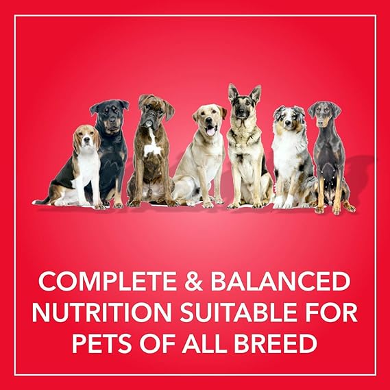 Purepet Chicken & Vegetable Adult Dry Food For 1kg