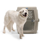 Petmate Ultra Vari Kennel Traditional 48" Interior Dimensions I 44" L x 29" W x 32.5" H (IATA Approved)