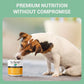 Schesir Nature For Dog Chicken with Pumpkin in Jelly Wet Dog Food 285g