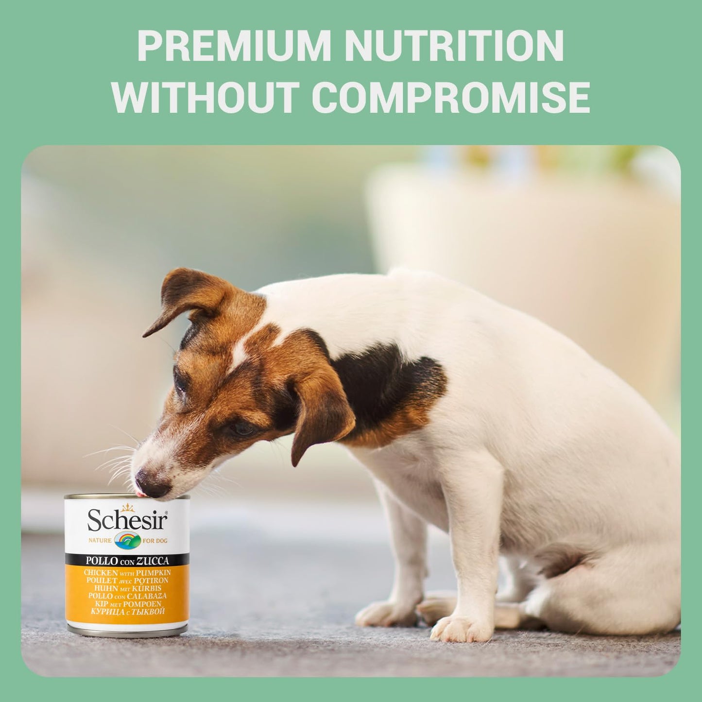 Schesir Nature For Dog Chicken with Pumpkin in Jelly Wet Dog Food 285g