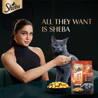 Sheba Kitten and Adult Chicken Flavor Dry Cat Food 400g