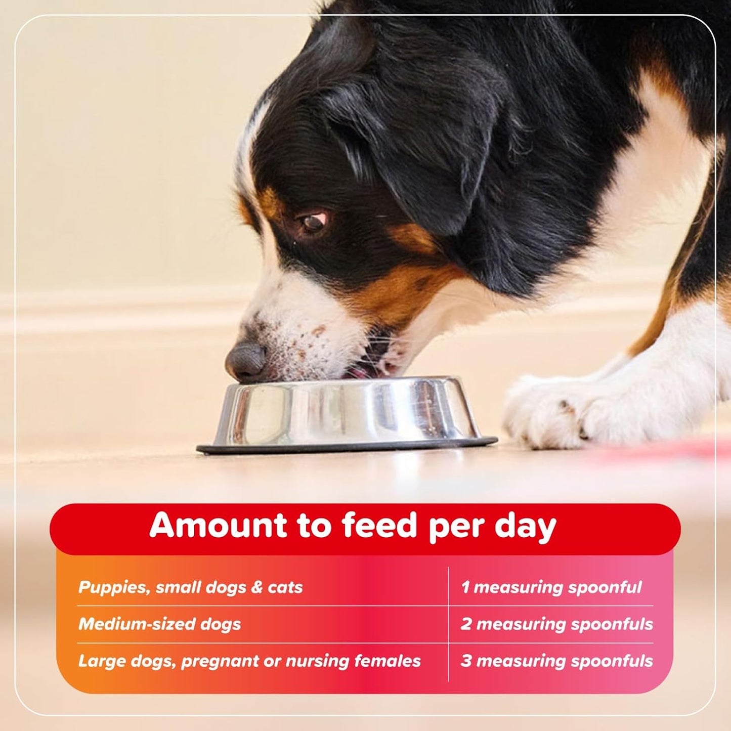 Beaphar Bone Builder For Dogs & Cats 400g