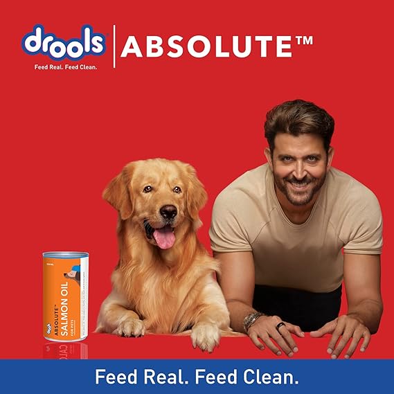 Drools Absolute Salmon Oil Syrup Dog Supplement 150ml