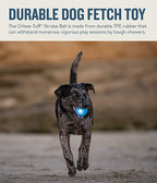 Petstages Orbee Tuff Strobe Ball Dog Toy Blue 3inch