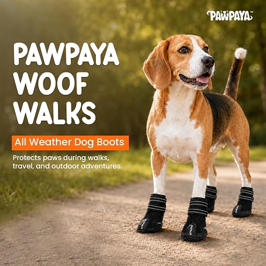 Pawpaya Woof Walk Shoes with Anti-Slip Sole, Protective Pet Paw Shoes for Rain, Mud, Outdoor Walks & Everyday Paw Protection (Pack of 4)