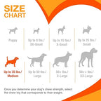 Nylabone Puppy Chew & Ring Bone Twin Pack Chicken Flavor Chew Toy Up to 16kg Dogs 13.97cm x 4.44cm x 2.54cm