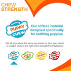 Nylabone Puppy Chew & Ring Bone Twin Pack Chicken Flavor Chew Toy Up to 16kg Dogs 13.97cm x 4.44cm x 2.54cm