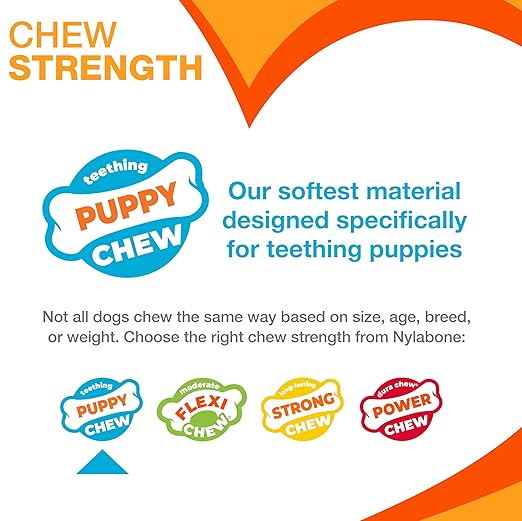 Nylabone Puppy Chew & Ring Bone Twin Pack Chicken Flavor Chew Toy Up to 16kg Dogs 13.97cm x 4.44cm x 2.54cm