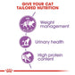 Royal Canin Regular Sterilised 37 Dry Adult Cat Food 2kg