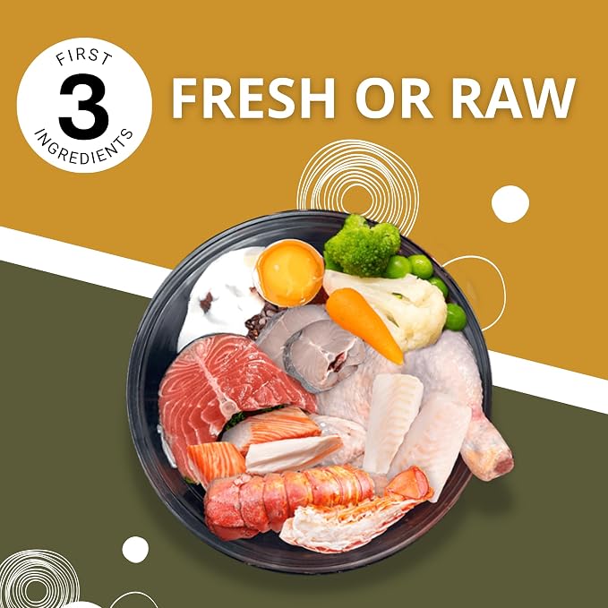 Charm Lamb and Salmon Recipe Grain Free Premium Dog Food For All Breed and Life Stages 340g