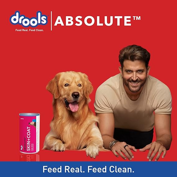 Drools Absolute Skin+Coat Syrup Dog Supplement 300ml