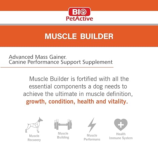 Bio Pet Active Muscle Builder Bulky Powder Protein For Dog Supplementary Food Helps in Muscle Building 120g