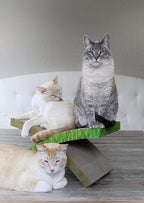 Petstages Easy Life Hammock Scratch and Sleep For Cats 54x35x8cm