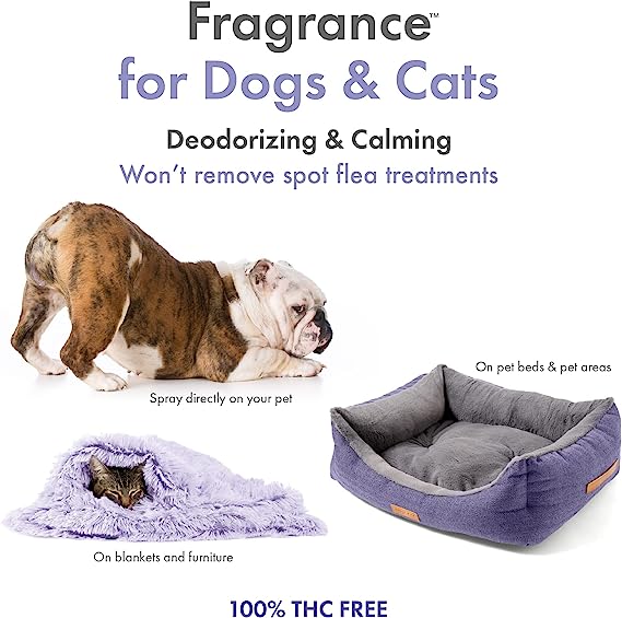 Petkin Hemp Fragrance Calming Deodorizing & Calming Spray For Dogs & Cats 237ml