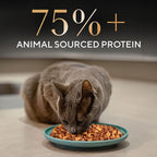 Sheba Kitten and Adult Chicken Flavor Dry Cat Food 400g