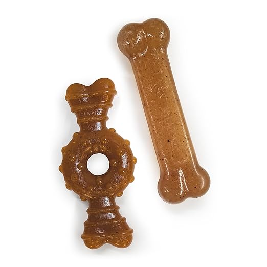Nylabone Puppy Chew & Ring Bone Twin Pack Chicken Flavor Chew Toy Up to 16kg Dogs 13.97cm x 4.44cm x 2.54cm