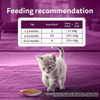 Whiskas Kitten Junior (2-12 Months) Tuna in Jelly Wet Food 80g