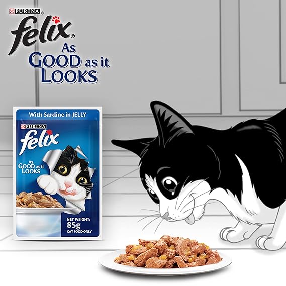 Purina Felix Salmon in Jelly Wet Cat Food 85g (Pack of 12)