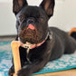 Nylabone Power Chew Bone Original Flavor Chew Toy Up To 11kg Dogs 11.43cm x 2.54cm x 4.44cm