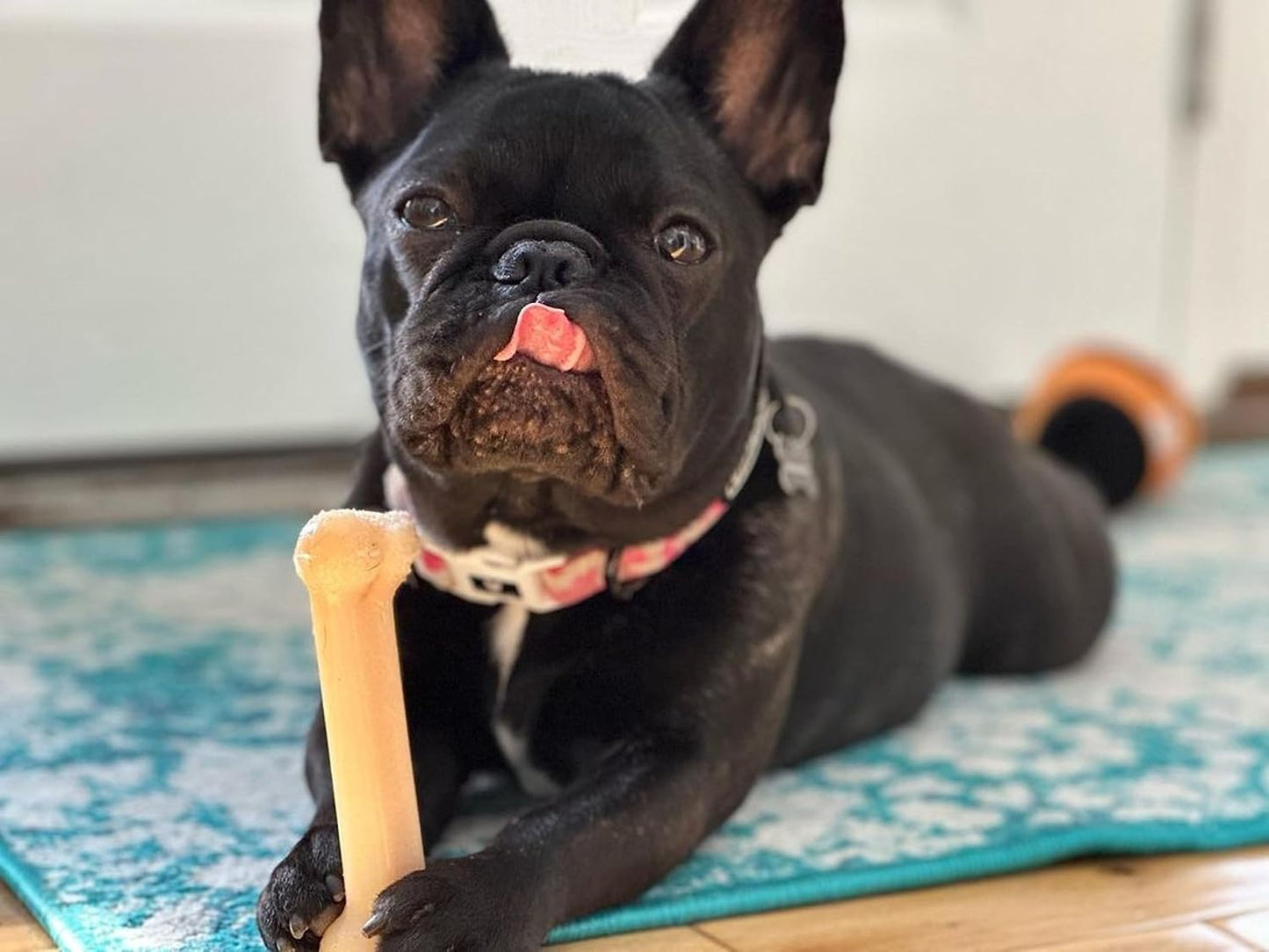 Nylabone Power Chew Bone Original Flavor Chew Toy Up To 11kg Dogs 11.43cm x 2.54cm x 4.44cm