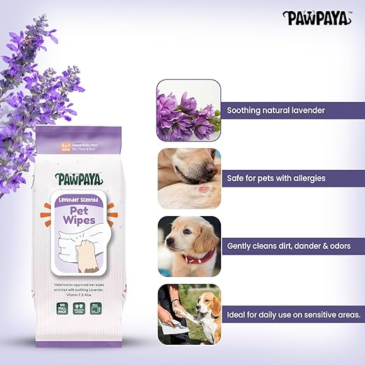 Pawpaya Lavender Scented Pet Wipes For Dogs & Cats 100 Pull