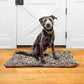 Tails Nation Printed Cozy Mat For Dogs