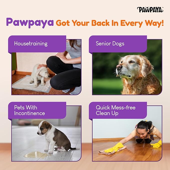 Pawpaya Pee Lock Powder for Dogs 150g