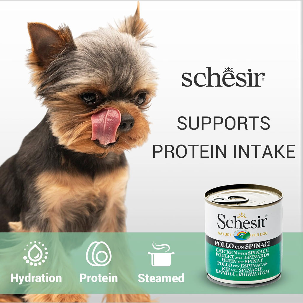 Schesir Nature For Dogs Chicken & Rice with Spinach in Jelly Wet Dog Food 285g