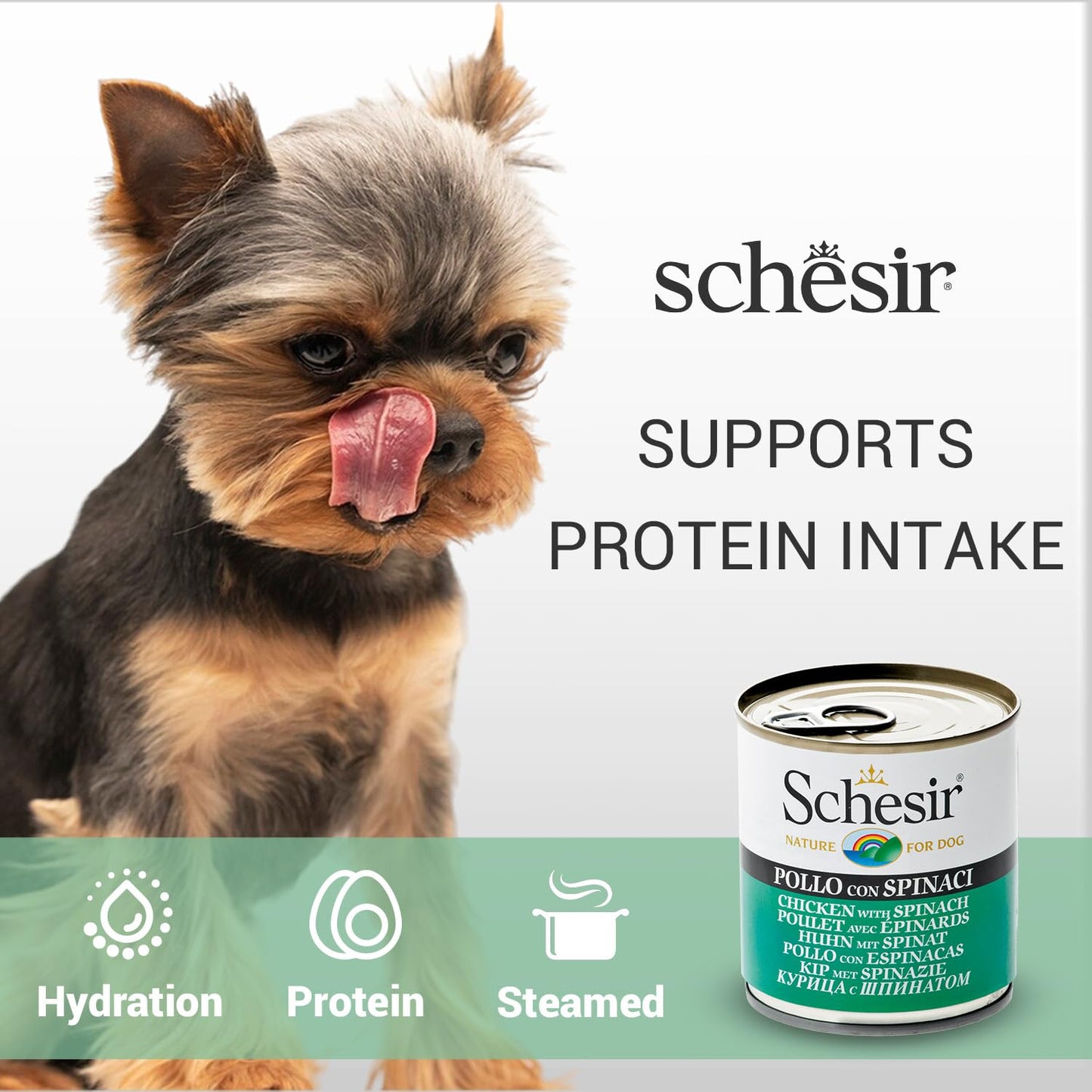 Schesir Nature For Dogs Chicken & Rice with Spinach in Jelly Wet Dog Food 285g