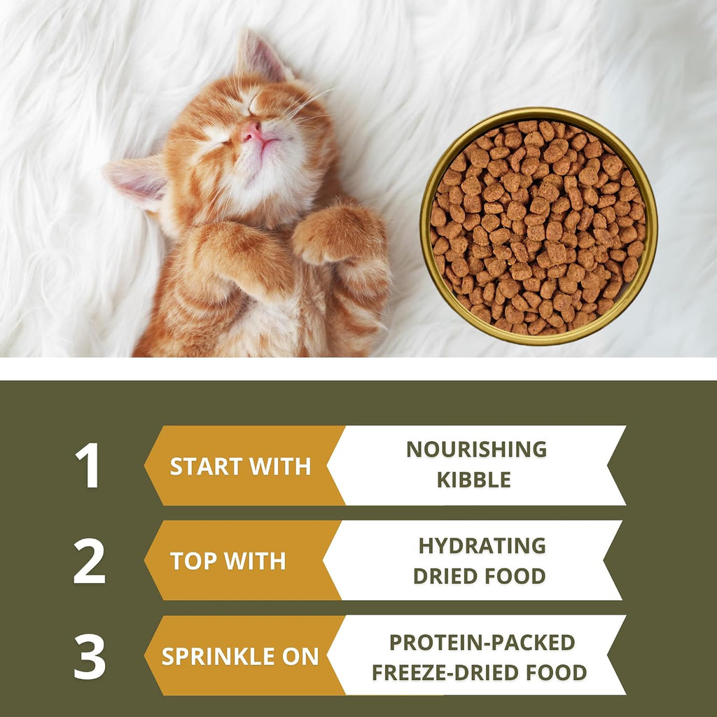 Charm Lamb and Salmon Recipe Grain Free Premium Cat Dry Food For All Breeds and All Life Stages 340g