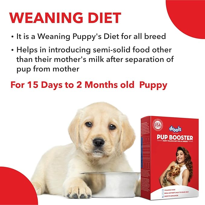 Drools Dog Pup Booster Weaning Diet 300g