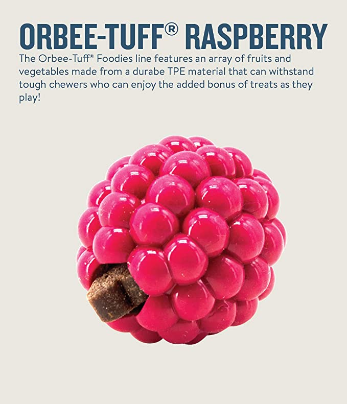 Petstages Orbee Tuff Raspberry Treat-Dispensing Dog Toy 1.75inch