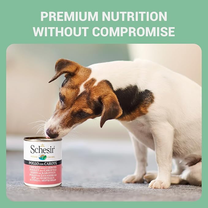 Schesir Nature For Dog Chicken & Rice with Carrot in jelly 285g