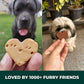 Freshwoof Mini Hearts Hndmade Cookies 100% Natural Dog Treats Vegetarian Biscuits for Dogs All Flavors Combo Pack of 3