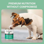 Schesir Nature For Dogs Chicken & Rice with Spinach in Jelly Wet Dog Food 285g