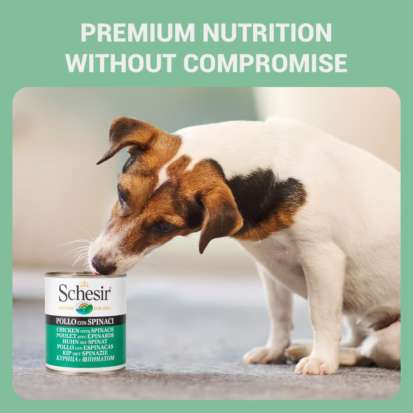 Schesir Nature For Dogs Chicken & Rice with Spinach in Jelly Wet Dog Food 285g