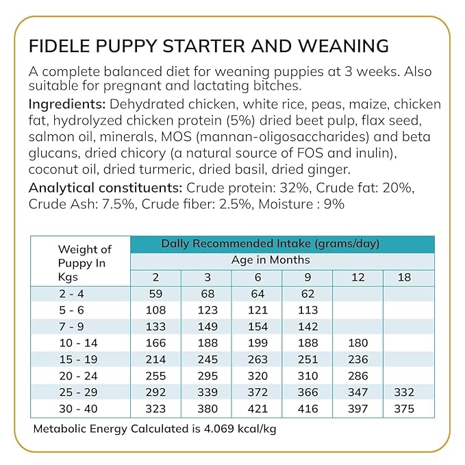 Fidele Starter Puppy All Breed Dry Food For Dogs