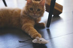 Beco Millie The Mouse Recycled Cat Nip Toy