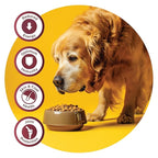 Fidele Adult Senior Dry Food For Dogs